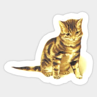 Cat vintage drawing in color Ginger kitten Sticker